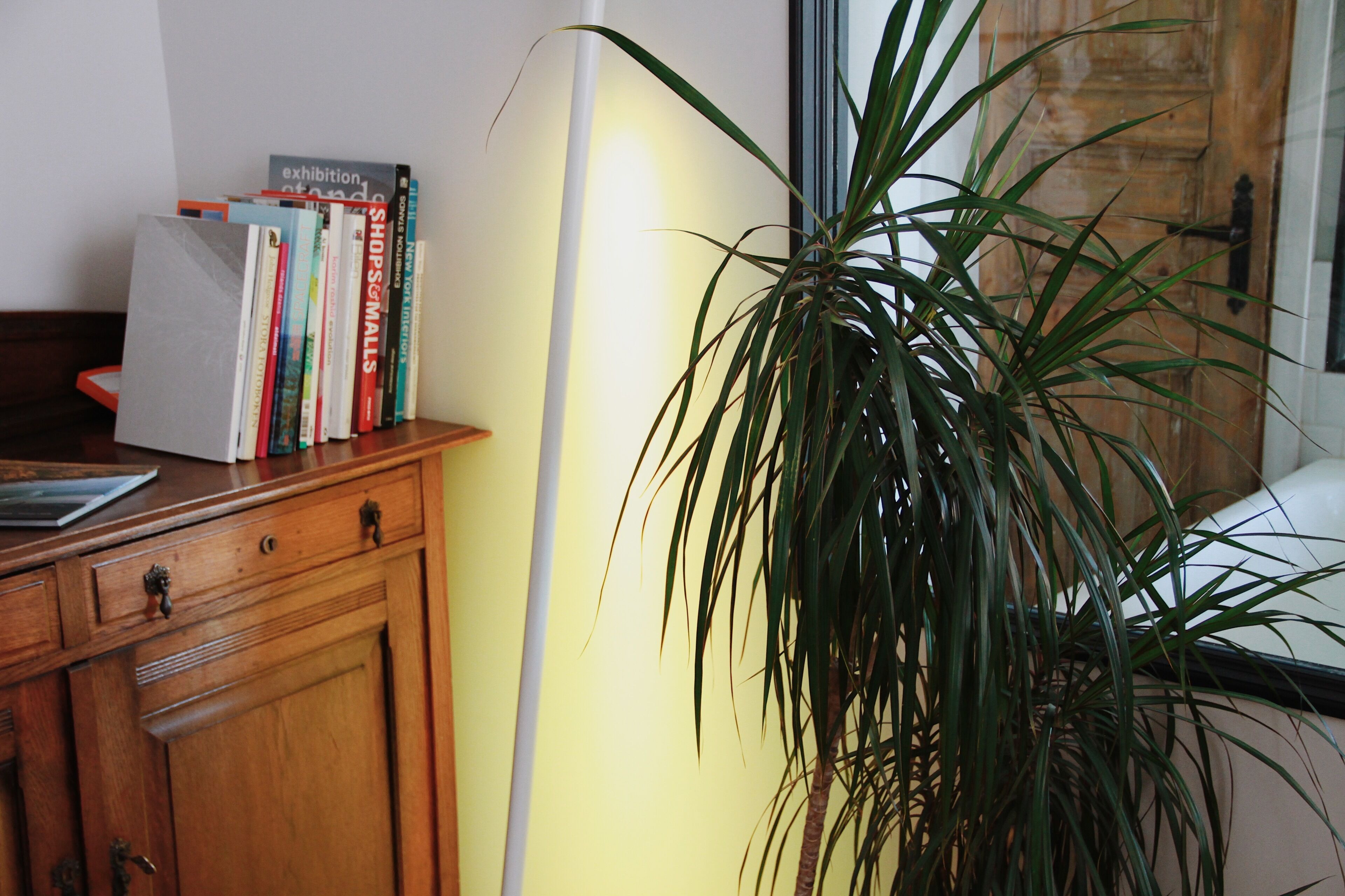 A wooden desk with a plant, a bookshelf with books, and a window with a view of a building.