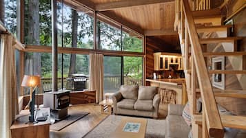 Televisio, DVD-soitin, kirjoja, videokirjasto