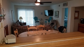 Smart TV, DVD player, video library, stereo - "Drifting and Dreaming" (Kill Devil Hills)