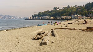 Ein Strand mit vereinzelten Baumstämmen, ruhigem Meer und Gebäuden im Hintergrund.