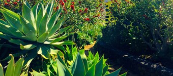 Finca Valentina - The Porch House