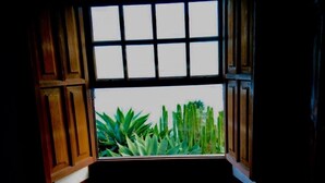 A corner of a room with a window overlooking a green plant.