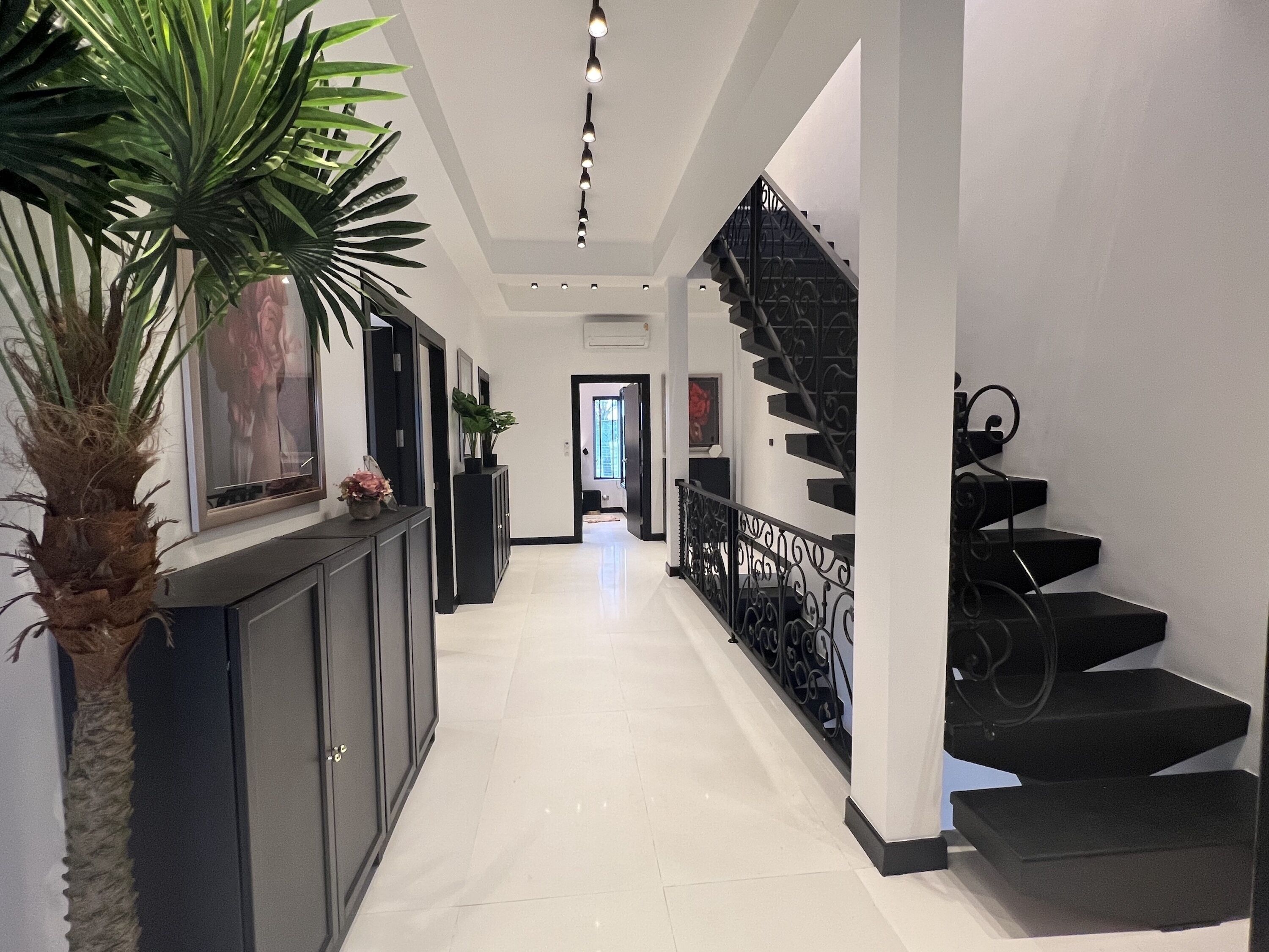 A hallway with a black staircase, white walls, and a palm tree.