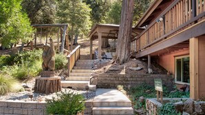 A wooden cabin with a stone staircase leading to a covered porch, surrounded by trees and a small garden. - Cedar Mountain Lodge (Oakhurst)