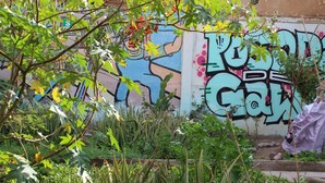 En væg med farverige graffiti og frodig vegetation.