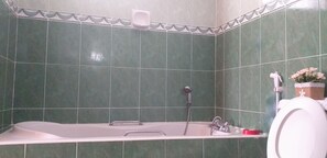 Combined shower/bathtub, towels, toilet paper