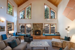 Télévision, cheminée, lecteur de DVD