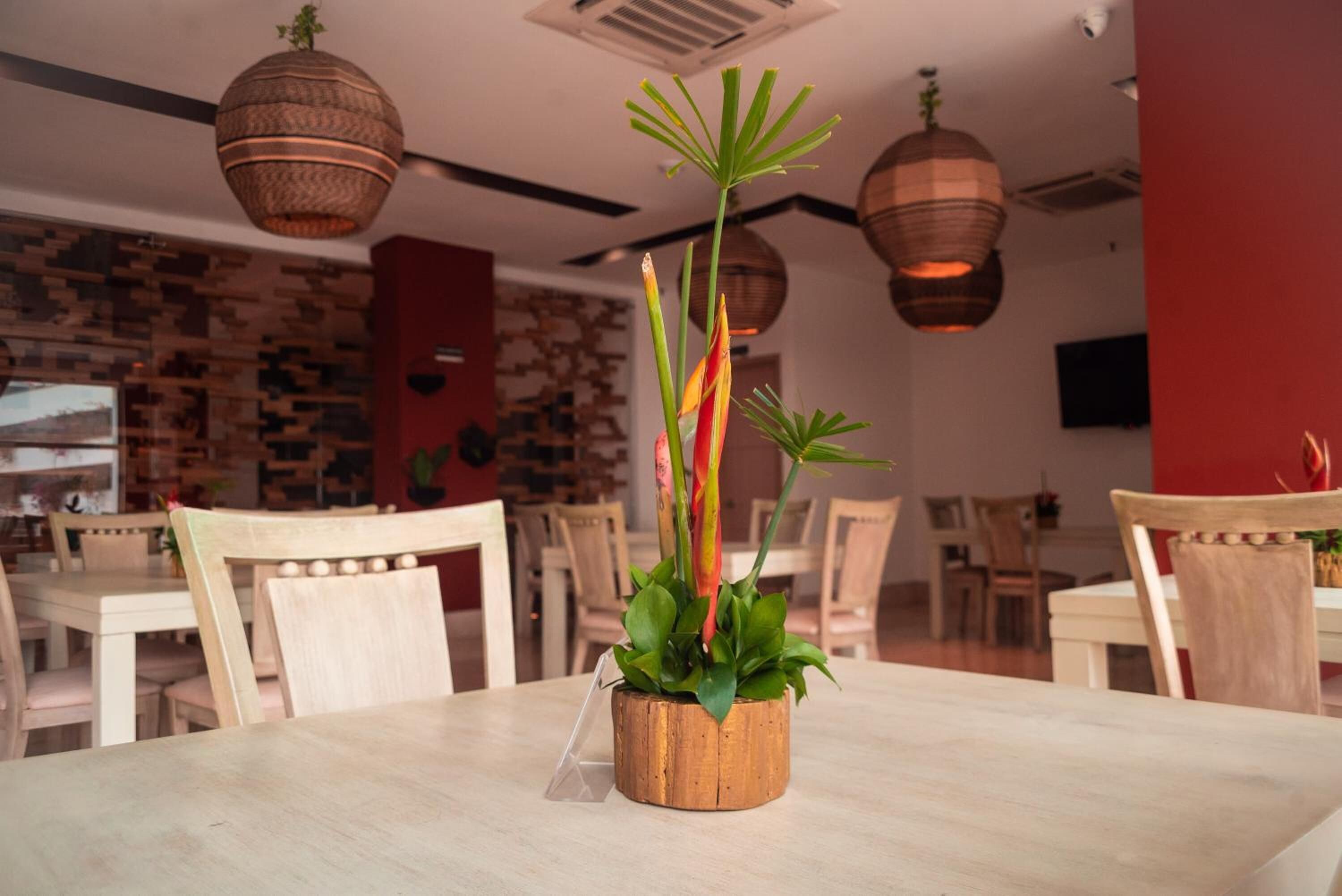 A dining area with a wooden table, chairs, and a potted plant with green and red foliage.