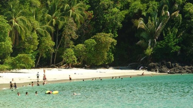 Una playa con agua turquesa cristalina, palmeras y una orilla arenosa.