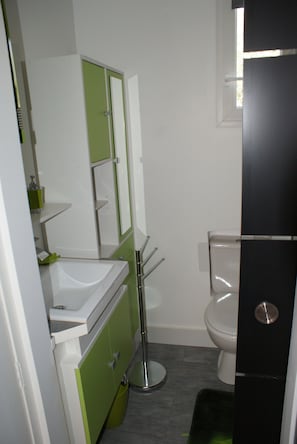 Shower, hair dryer, toilet paper