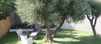 T2 between sea and mountain