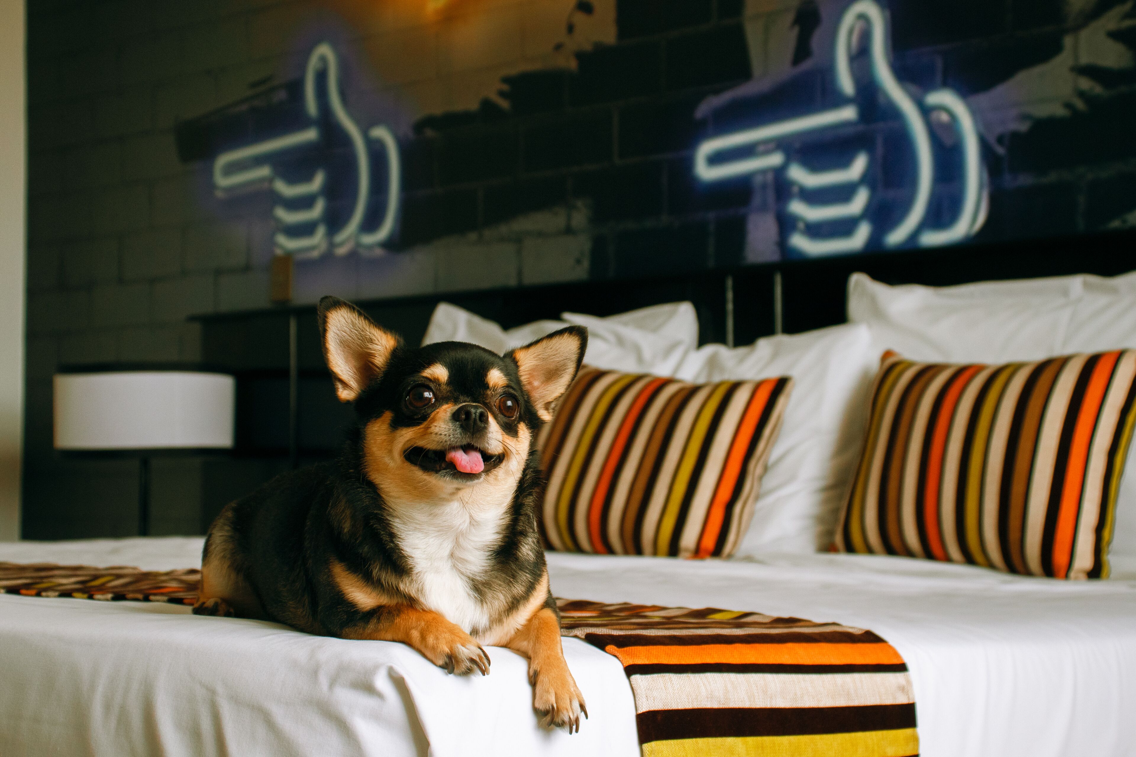 Photo - Mood Hotel Lifestyle