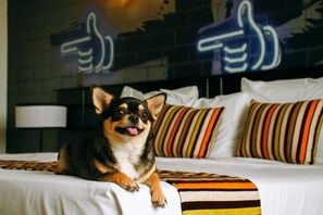 Free minibar, in-room safe, desk, soundproofing - Mood Hotel Lifestyle (Chiclayo)