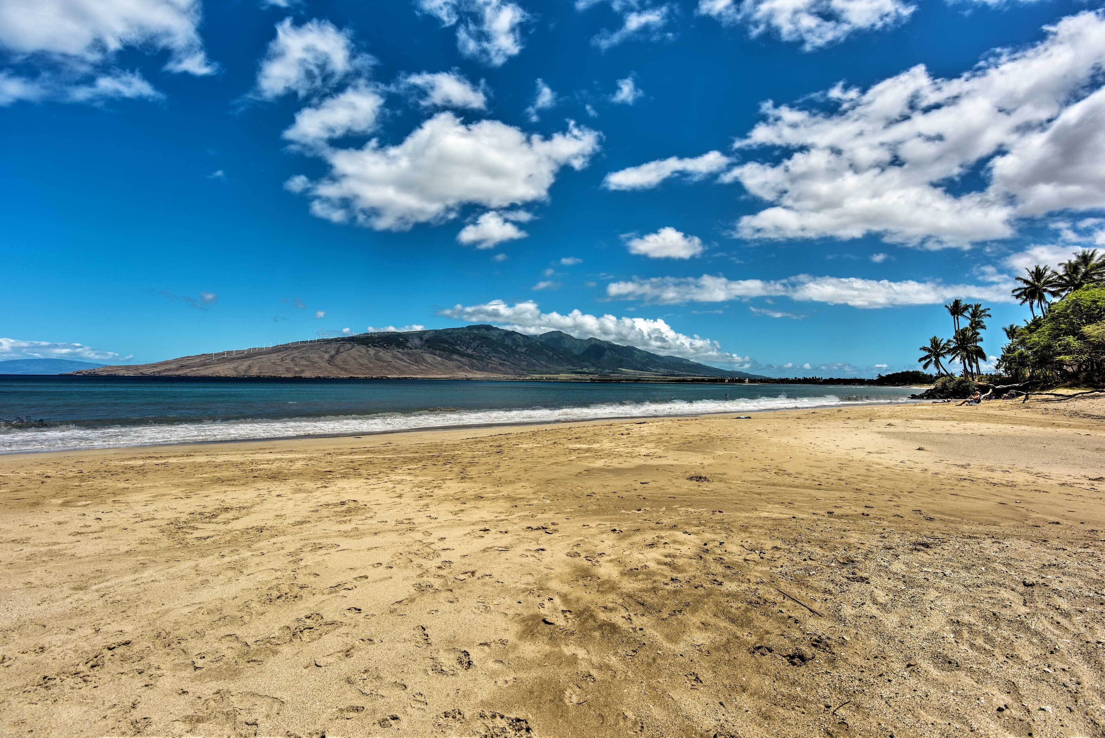 A beach with a mountain in the background, clear skies, and palm trees.