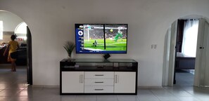 Televisión