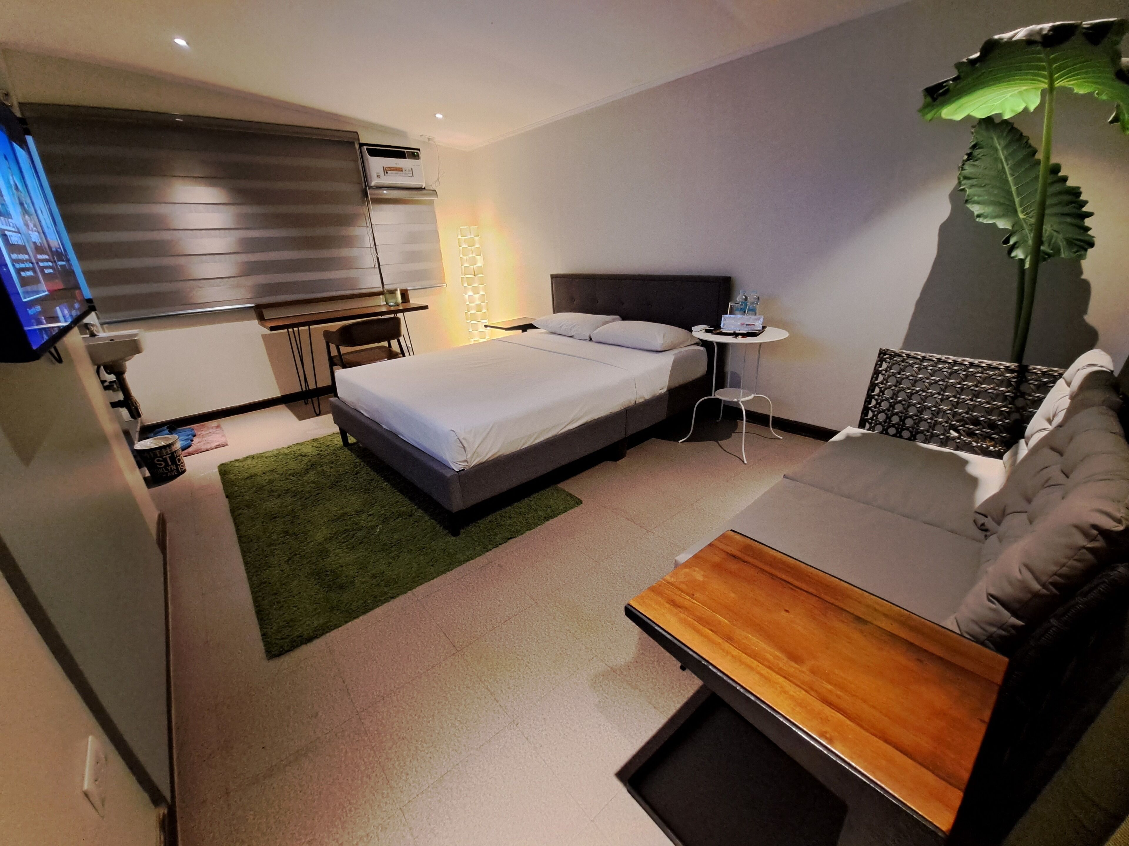 Una habitación de hotel moderna con cama, sofá, una mesita, televisión y una planta.