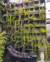 Premier Room, 1 Queen Bed, Patio, Garden View | Terrace/patio