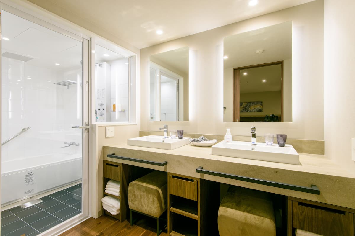 free toiletries, hair dryer, slippers, bidet