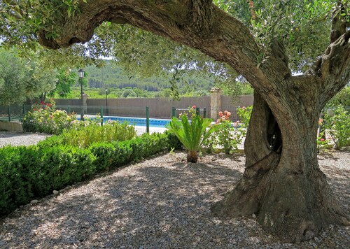 Accommodation in Castellón (6 people). Enjoy the family pool