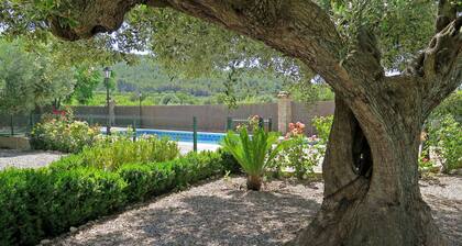 Accommodation in Castellón (6 people). Enjoy the family pool