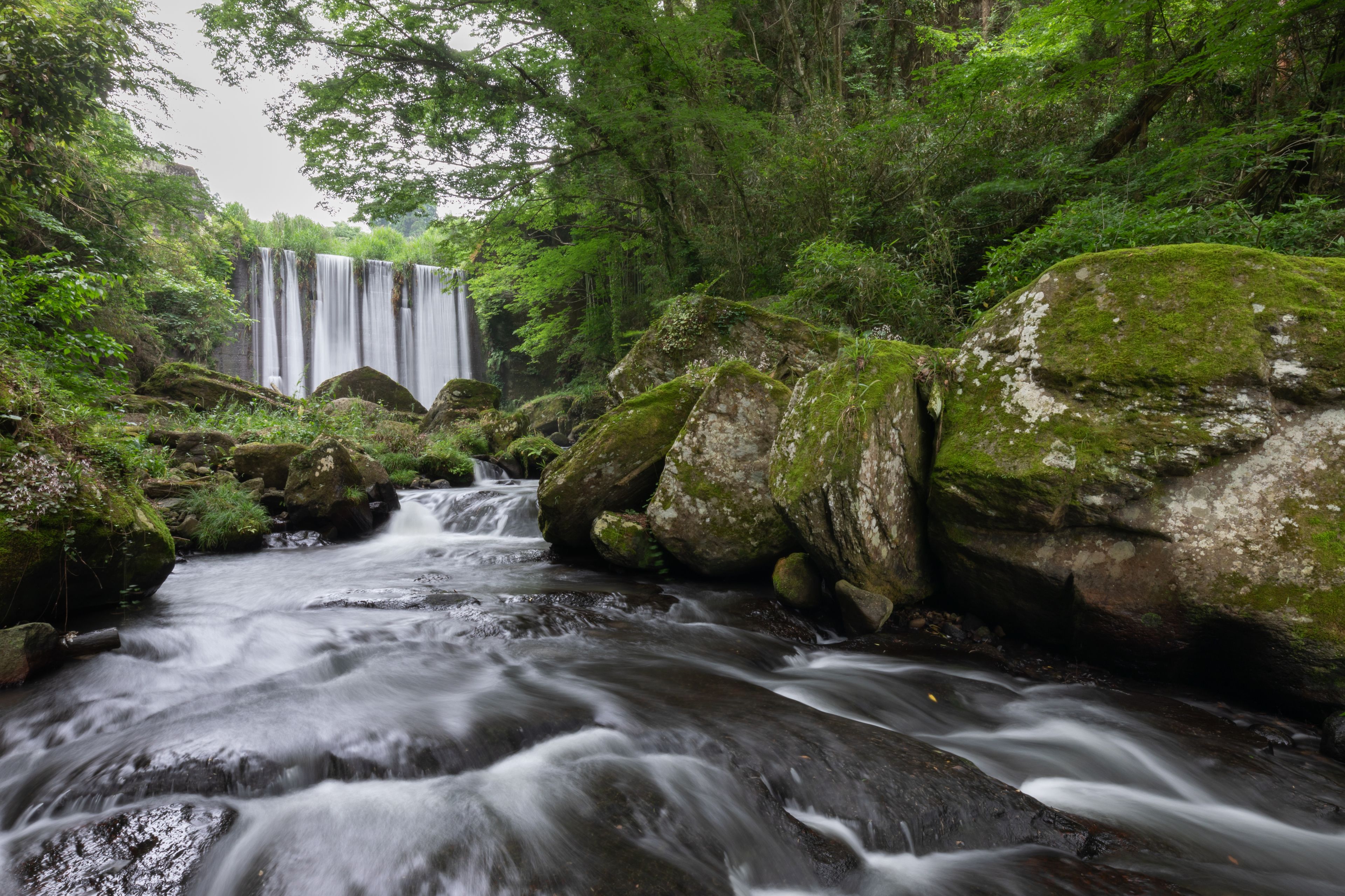 Una cascada fluye sobre rocas cubiertas de musgo en un exuberante bosque.