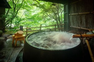 Aguas termales