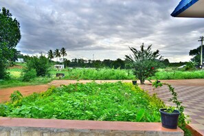 Property grounds - Yelagiri Farm House (Tirupattur)