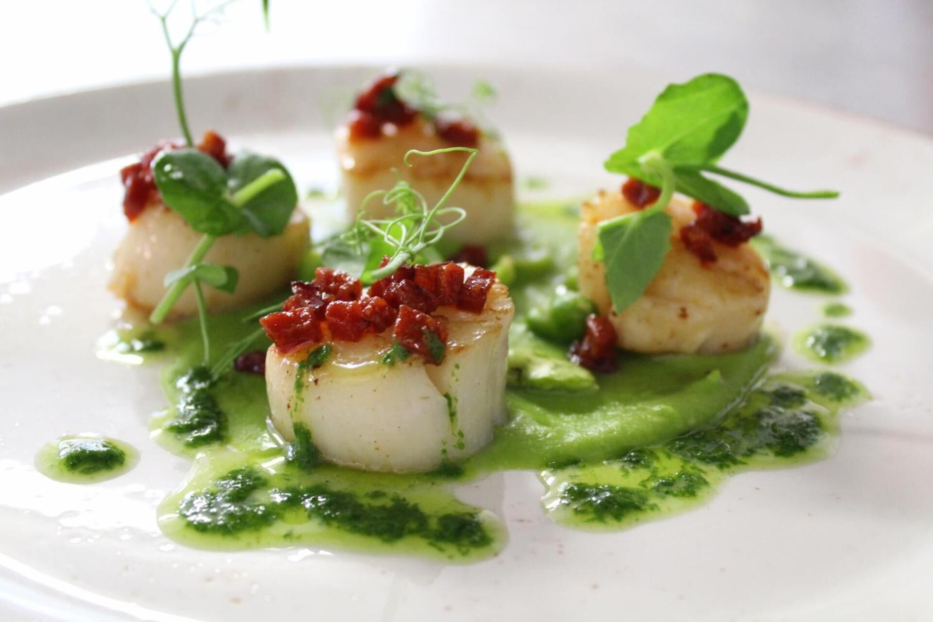 Un plato de comida con vieiras a la plancha, decorado con microgreens y salsa verde.