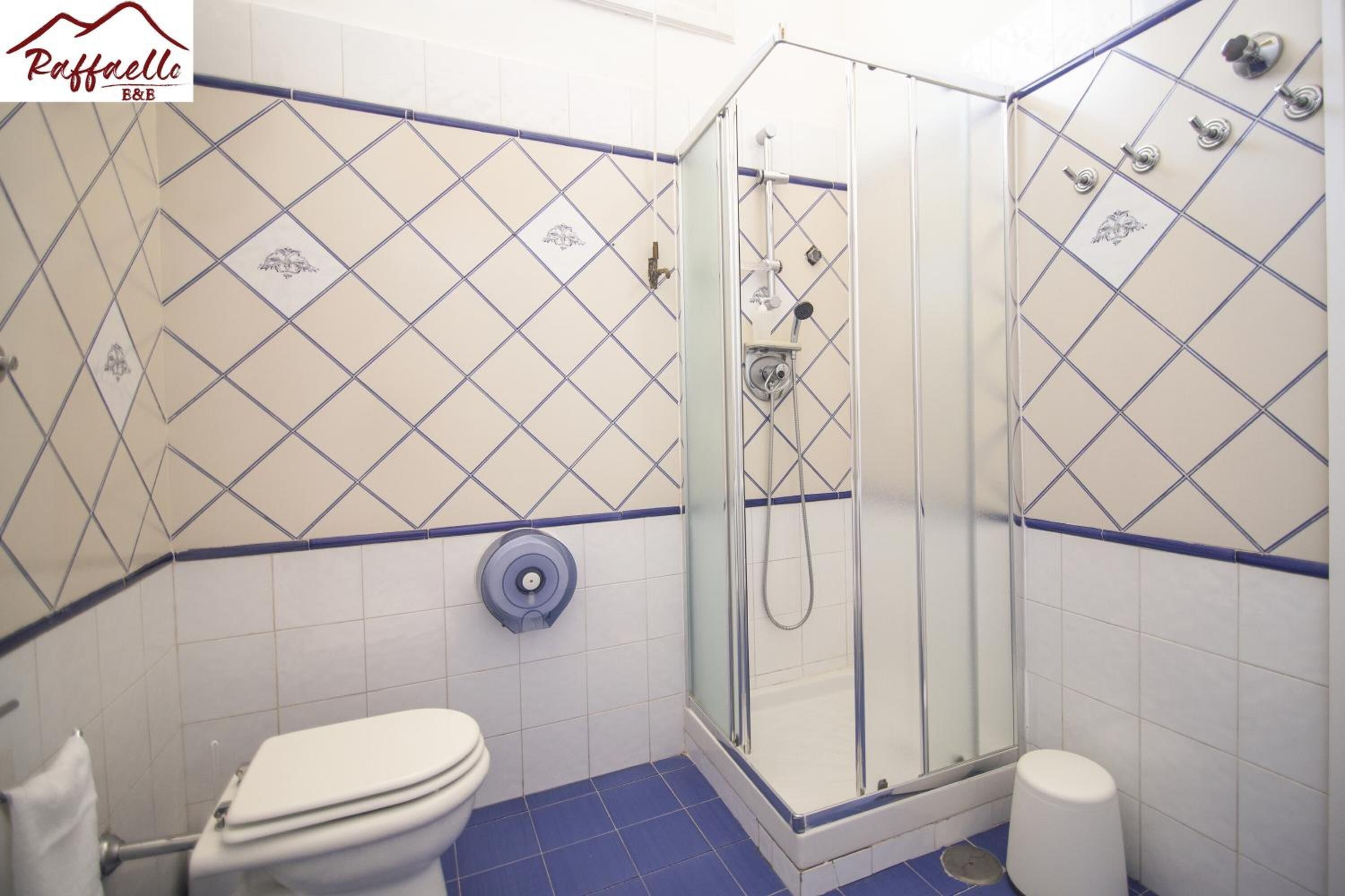 Ducha, cabezal de ducha tipo lluvia, secador de pelo, bidet