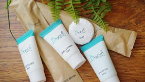 Four toiletries from Baypark Hotel, including a conditioner, body lotion, shampoo, and a toothbrush, arranged on a wooden surface with a fern in the background. - Baypark Inn (Calbayog)