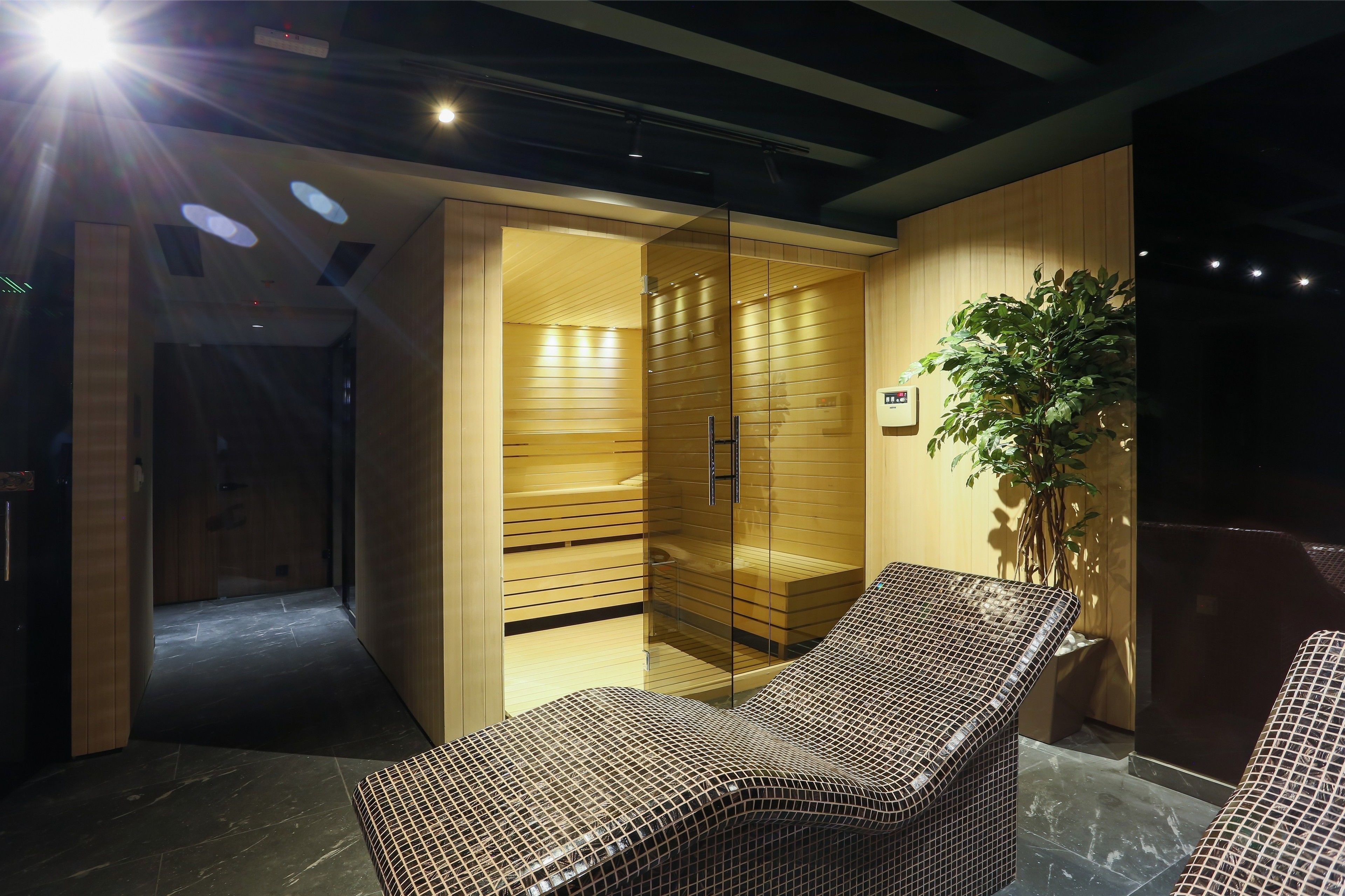 A modern spa room with a glass-enclosed sauna, a potted plant, and a seating area with patterned cushions.