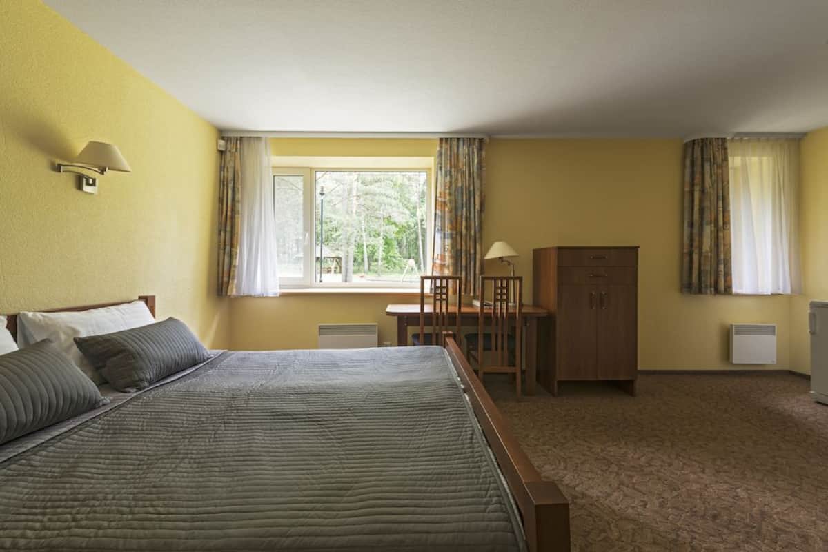 Deluxe Double Room | Desk, soundproofing, cribs/infant beds, free WiFi