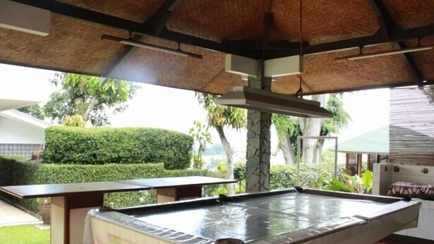 A pool table in a room with a thatched roof and a view of a well-maintained garden.