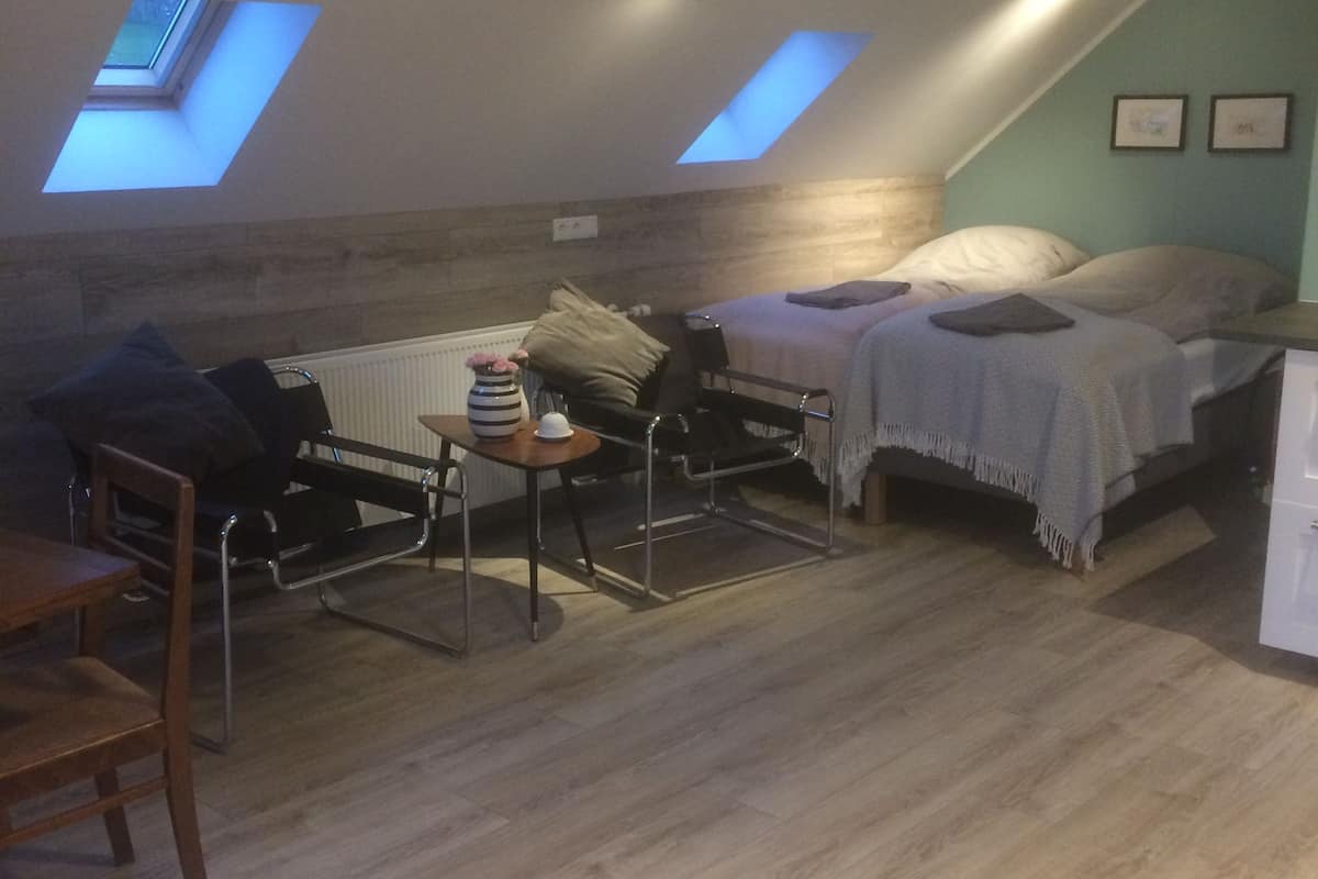 A loft bedroom with skylights, a bed, a desk, and a chair.