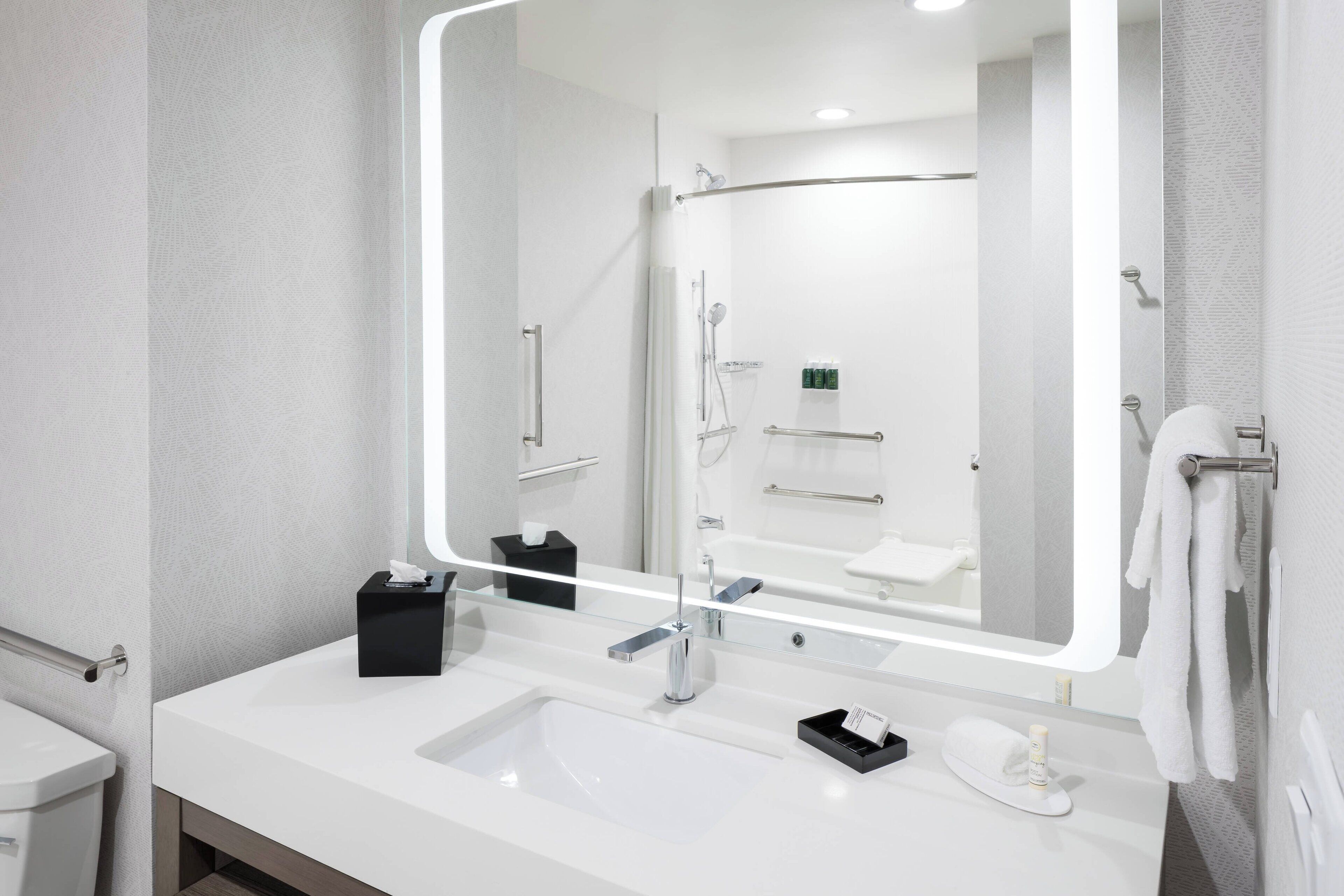 suite, 1 king bed with sofa bed, non smoking | bathroom | free toiletries, hair dryer, towels, soap