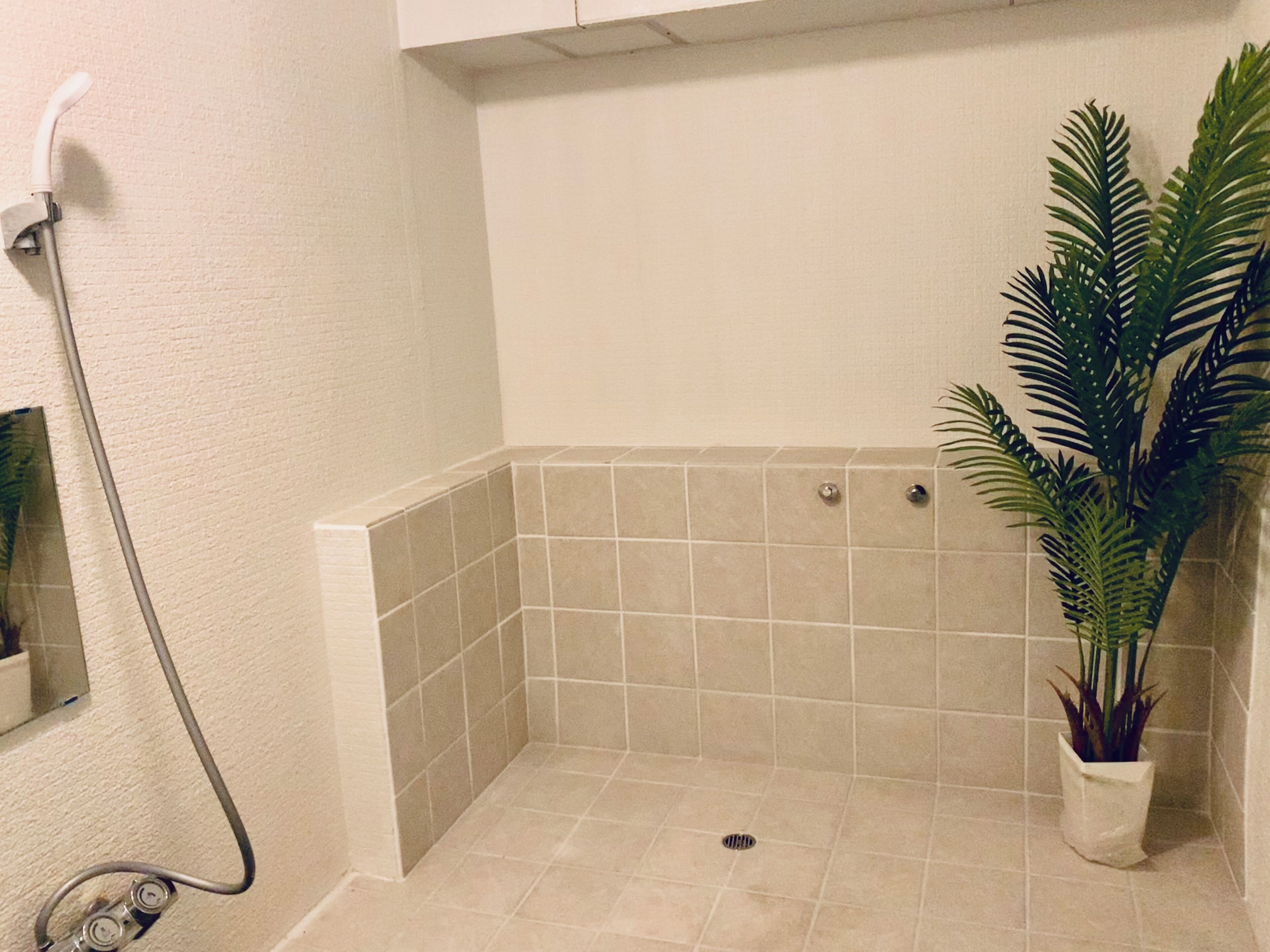 A shower area with beige tiles, a potted plant, and a showerhead.