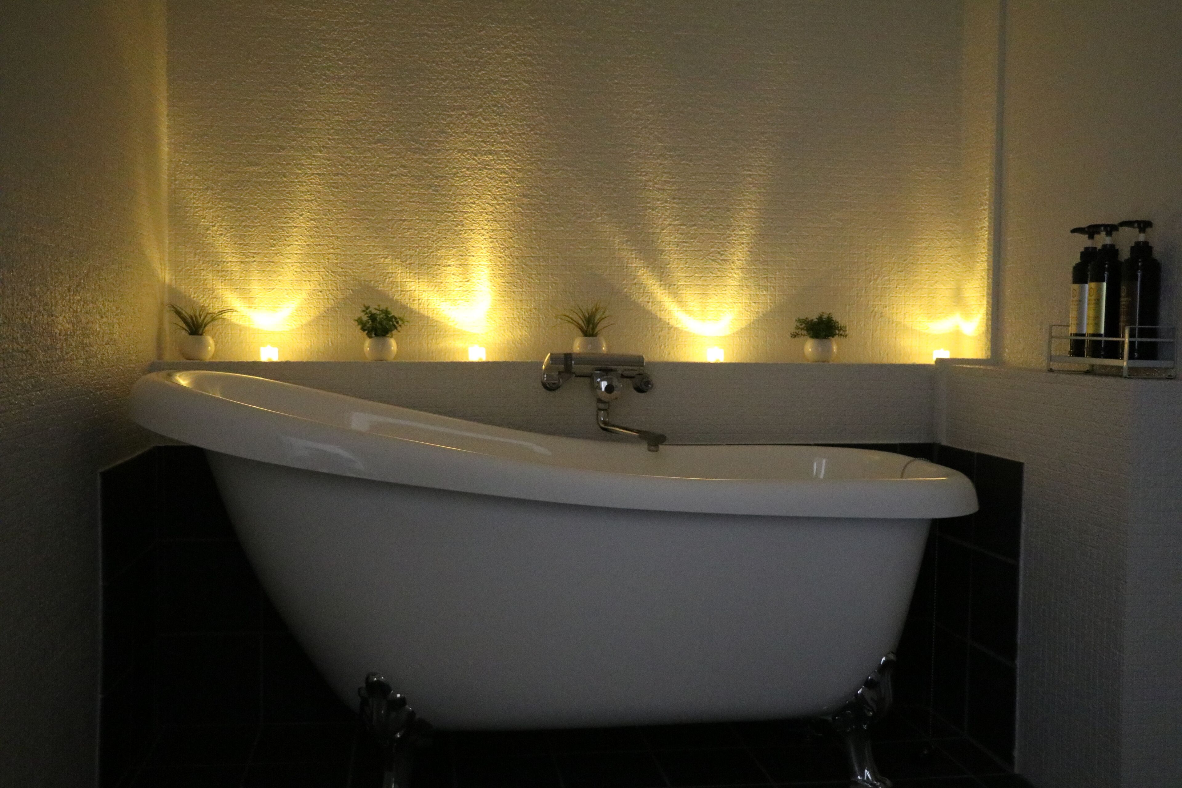 A freestanding bathtub with a wall-mounted shelf above it, holding several bottles and a small potted plant.