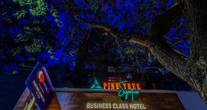 Capital O 42226 Pine Tree Signature