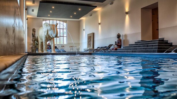 An indoor swimming pool with a statue of an elephant, a statue of a man, and a staircase leading to a door.