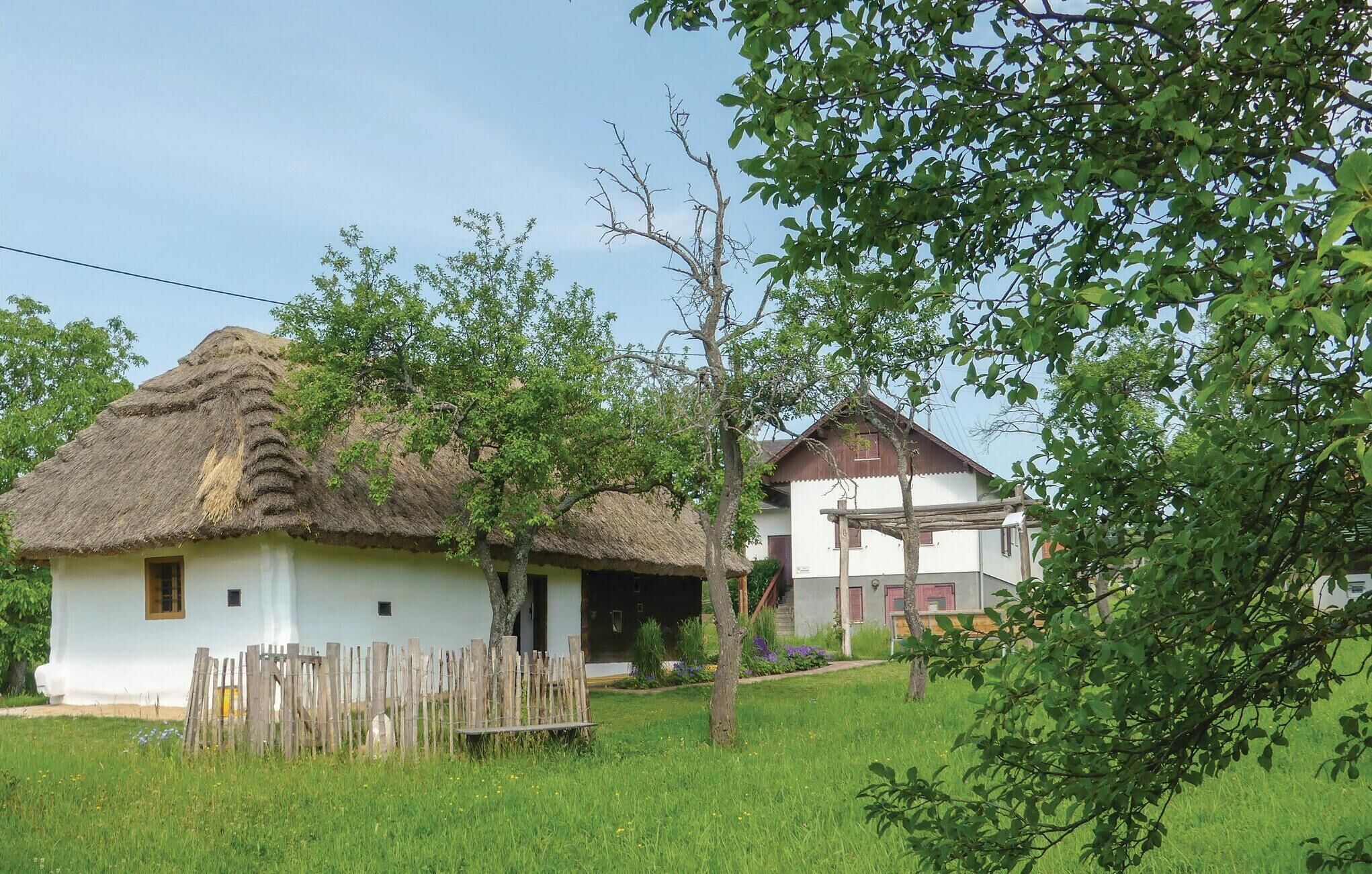 A rural house with a thatched roof and a white exterior.
