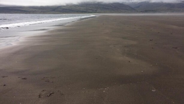 A beach with a wide sandy shore and a view of mountains in the distance. - Gljúfraborg (Fjardabyggd)
