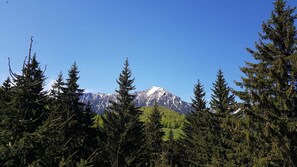 A mountain landscape with dense forest in the foreground and a snow-capped peak in the background. - BonDia (Rasnov)