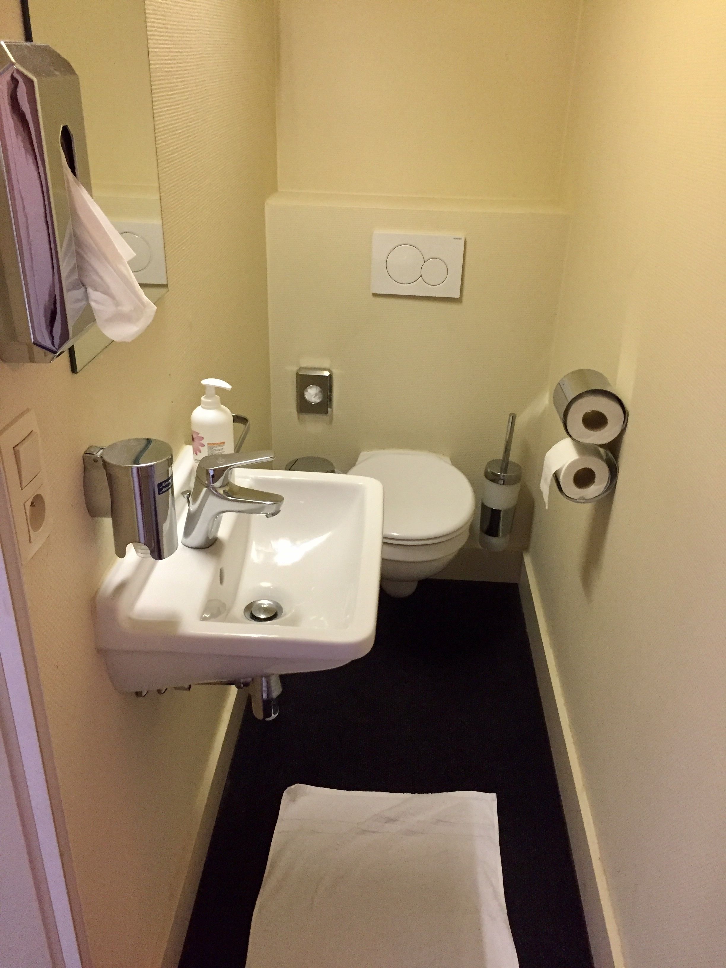 A small bathroom with a sink, toilet, and towel rack.