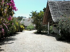 Property grounds - Cooke Villa (Mtwapa)