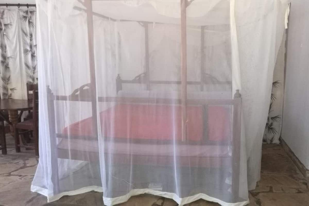 Una habitación con una cama bajo una mosquitera.