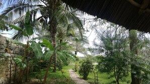 A stone pathway leading through a lush garden with palm trees and banana plants. - Cooke Villa (Mtwapa)