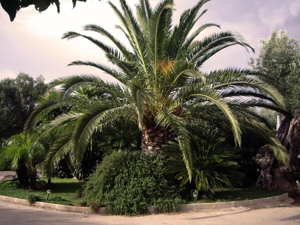 Property grounds - Il Gallo (Monopoli)