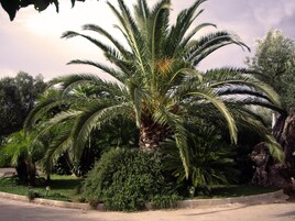 Parco della struttura