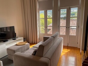 Televisor