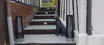 Chambres d'Hotes Le Mouton Gras